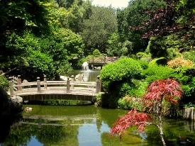 Japanese Tea Garden, San Mateo, PD