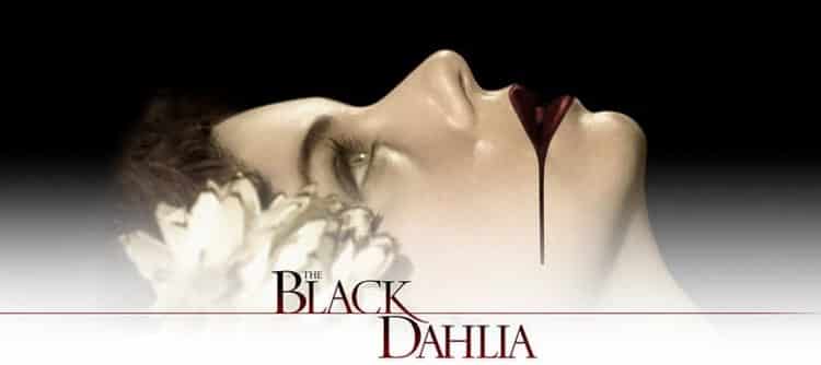 black dahlia poster