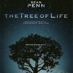 tree-of-life-image-250