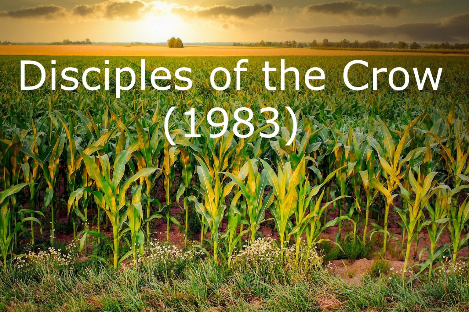 Disciples Of The Crow 1983 Early Children Of The Corn Movie Rewind